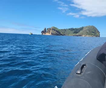 Islet Tour- Ilhéu de Vila Franca do Campo