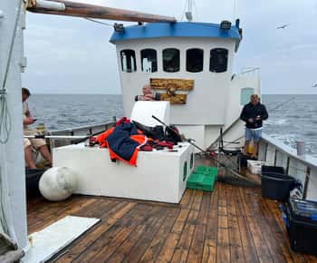 Stavanger: 5-Hour Fishing Trip with Equipment and Guide