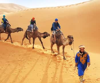 Agadir/Taghazout : Balade à dos de chameau dans le désert & Sandboarding