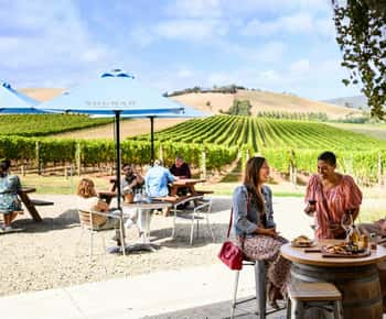 Melbourne: Yarra Valley half-day Cellar Door Winery Tour