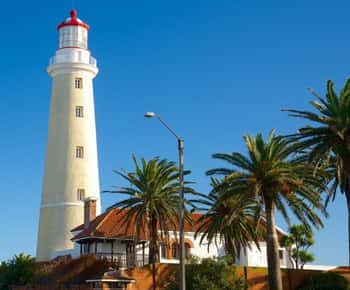 Tour della città di Punta del Este