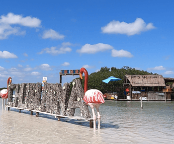 Mérida: Passeio pelas praias e restaurante com vista para o mar com um guia local