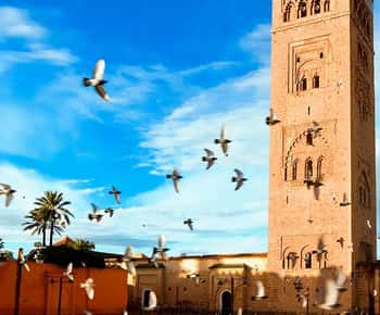 Marrakech City Tour, Private Fullday with Luxury Car
