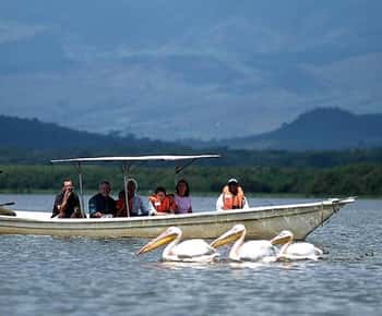 Day tour Hells gate and lake Naivasha from Nairobi