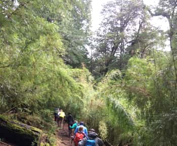 Huerquehue National Park full day