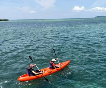 Bintan Snorkeling