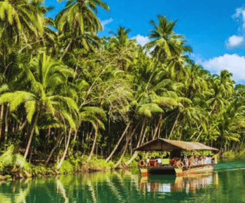 Bohol: Excursão às colinas de chocolate com cruzeiro guiado pelo rio Loboc e almoço