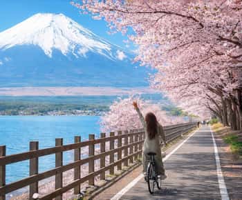 新倉山浅間公園 チケット＆ツアー | ゲットユアガイド | GetYourGuide