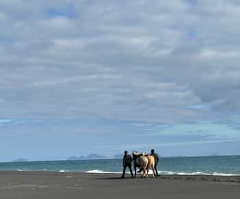 southern Iceland: Black beach riding tour