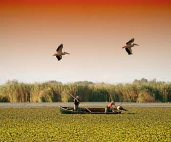 From Bucharest: Day Trip to Danube Delta