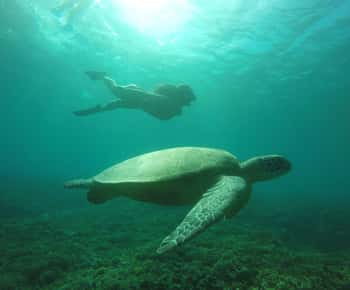 Lombok: 4-Day Sea Nomad Adventure to Labuan Bajo