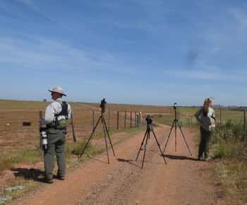 Birdwatching tour in Mértola and Castro Verde region