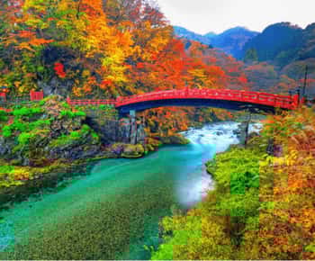 Tokyo'dan: İngilizce Konuşan Rehber ile Nikko Lüks Turu