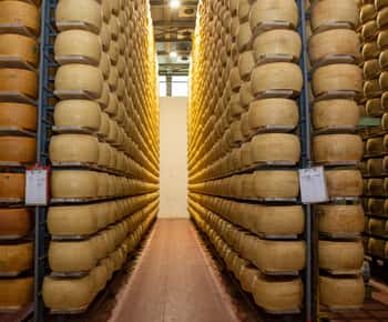 Formigine: Parmesan cheese tour with full tasting