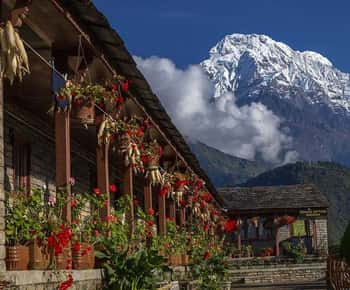 Pokhara: Trekking de 3 días a Poon Hill con guía