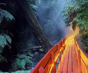 From Pucón: Geometric Hot Springs