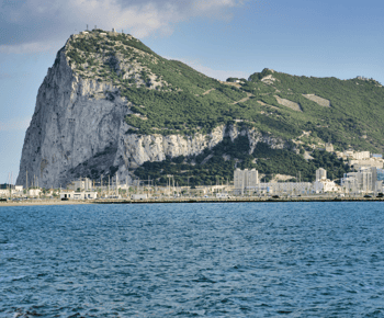 Gibraltar dolphin watching tour