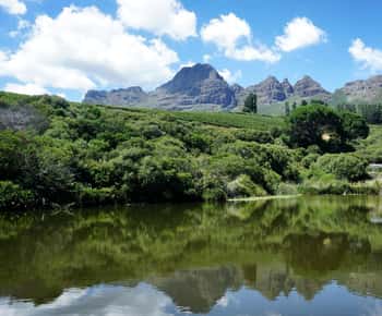 Stellenbosch: Adegas e Safári com Degustação de Vinhos