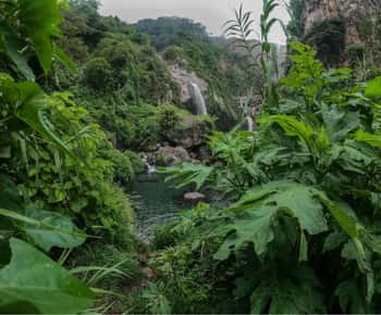 Zwem in weelderige bronnen en watervallen in Guadalajara