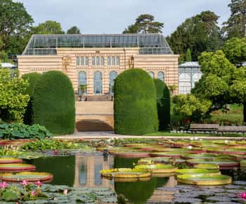 Stuttgart: Wilhelma Zoologisch-Botanischer Garten Ticket