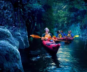 Tauranga: Evening Glowworm Kayak Tour