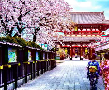 Desde Tokio: Tour privado personalizable de día completo por Tokio