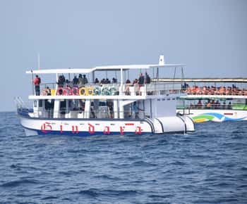 Mirissa : croisière d'observation des baleines et dauphins avec l'équipage de Geeth
