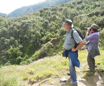 Simien Mountains One Day Trip:Wildlife Spotting,Hiking Tour