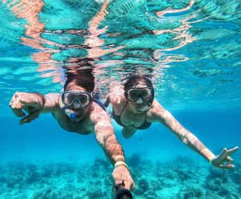Zanzibar dolphins+ snokling at mnemba with turles swimming