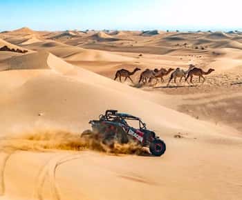 Doha: Safari în deșert, Marea Interioară, off-road pe dune de nisip, plimbare cu cămila