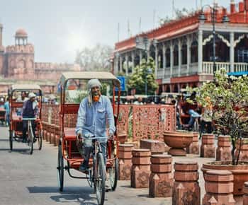 Old Delhi: Half Day Private Guided Tour and Rickshaw Ride