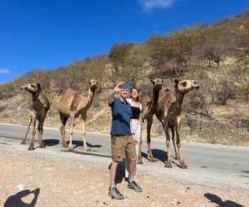 Est di Salalah, Montagna, Cammelli, Cascata, Spiaggia bianca