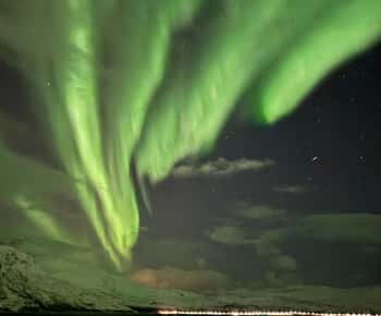 Skjervøy, nördlich von Tromsø: Nordlicht-Sternbeobachtung (Minivan)