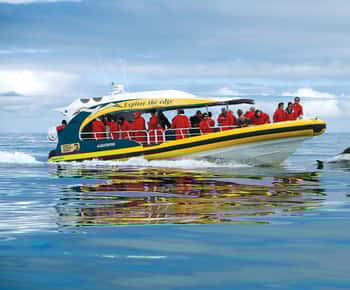 Hobart: Bruny Island Wilderness Coast Eco Cruise mit Mittagessen