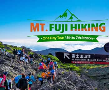 Da Tokyo: Escursione giornaliera sul Monte Fuji (dalla quinta alla settima stazione)