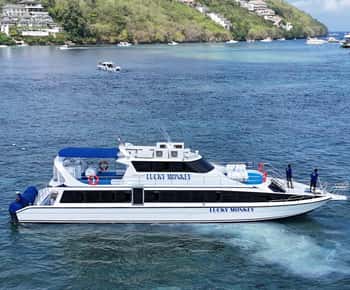 Bali Sanur: Eenrichtings Veerboot van/naar Nusa Penida