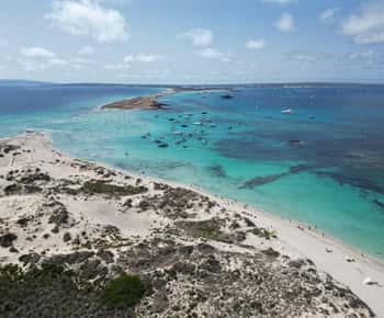 Formentera: 2-hour snorkel with marine biologist by boat