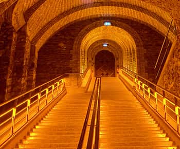 Champán Grand Vintage Private Moet Chandon Veuve Clicquot