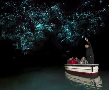 De Auckland ou Rotorua: Excursão a Hobbiton e Waitomo com almoço