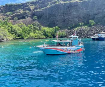 Kailua-Kona: Captain Cook Reef Catamaran Day Trip with Lunch