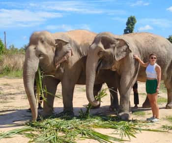 Depuis Siem Reap : Expérience au Sanctuaire des Éléphants avec transferts