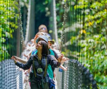 Místico Arenal Hanging Bridges Admission Ticket