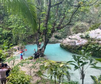 Cebu: Tubarão-baleia, Cataratas de Inambakan e excursão às sardinhas de Moalboal
