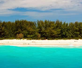 Mnemba island and dolphin tour from matemwe