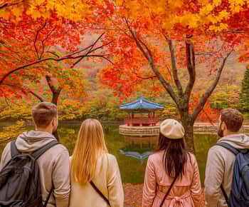 Seoul: Naejangsan National Park Autumn Foliage One Day Tour
