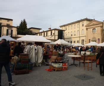 Lucca: ¡únete a un tour a pie imprescindible! (en inglés)