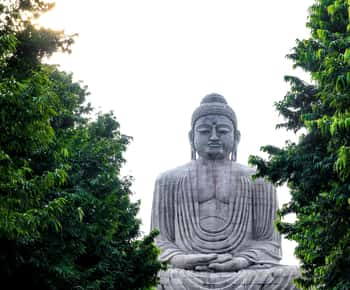 Tour Privado de Bodhgaya en el Mismo Día desde Benarés