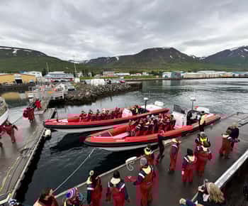 Dalvík: Walbeobachtungstour mit dem Schnellboot