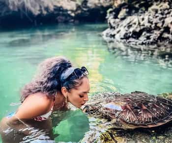 Zanzibar: Spice Farm and Sea Turtle Sanctuary Tour