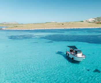 Au départ de Stintino : visite d'une demi-journée en hors-bord à l'Asinara